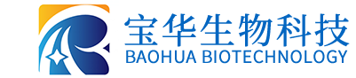 星空网页版网站入口-星空(中国)
